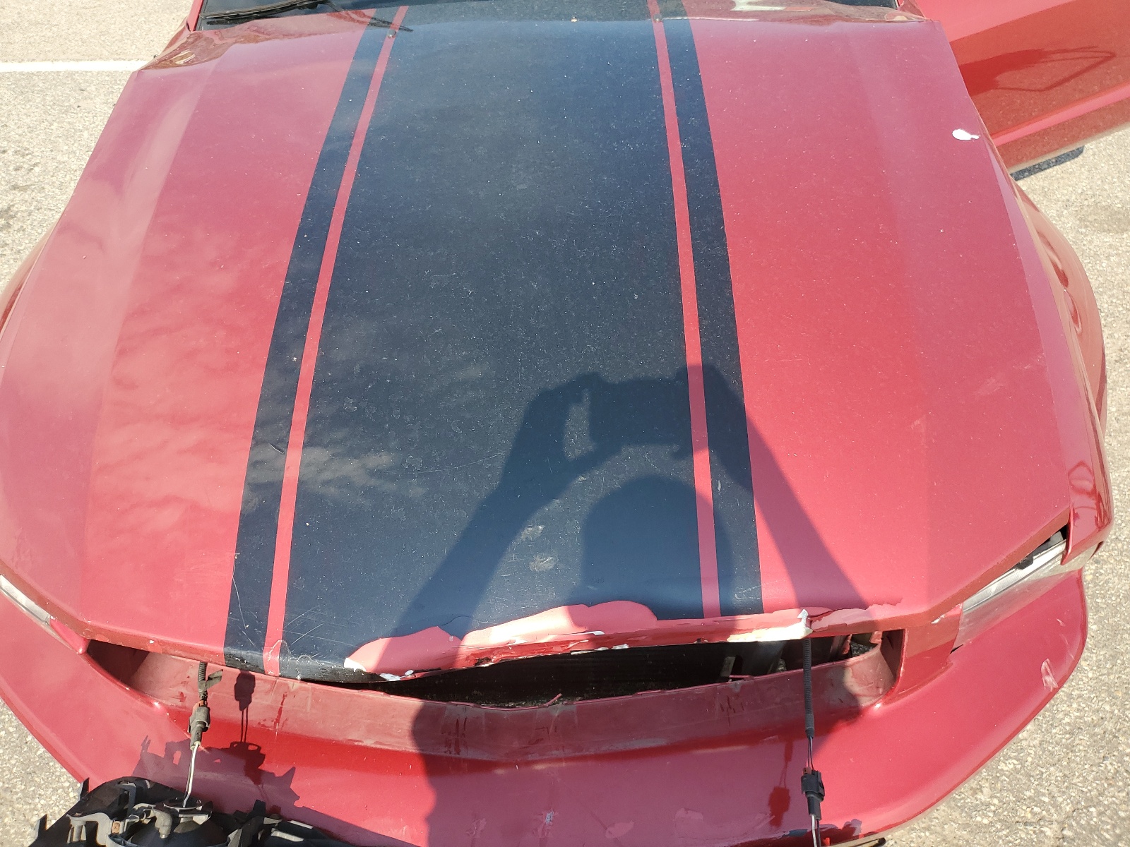 1ZVFT80N475210736 2007 Ford Mustang