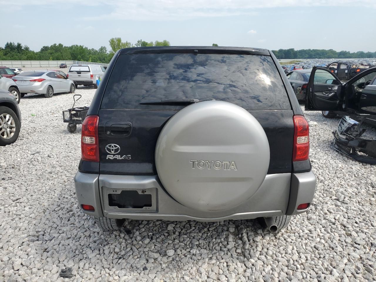 2004 Toyota Rav4 VIN: JTEGD20VX40046706 Lot: 59867554