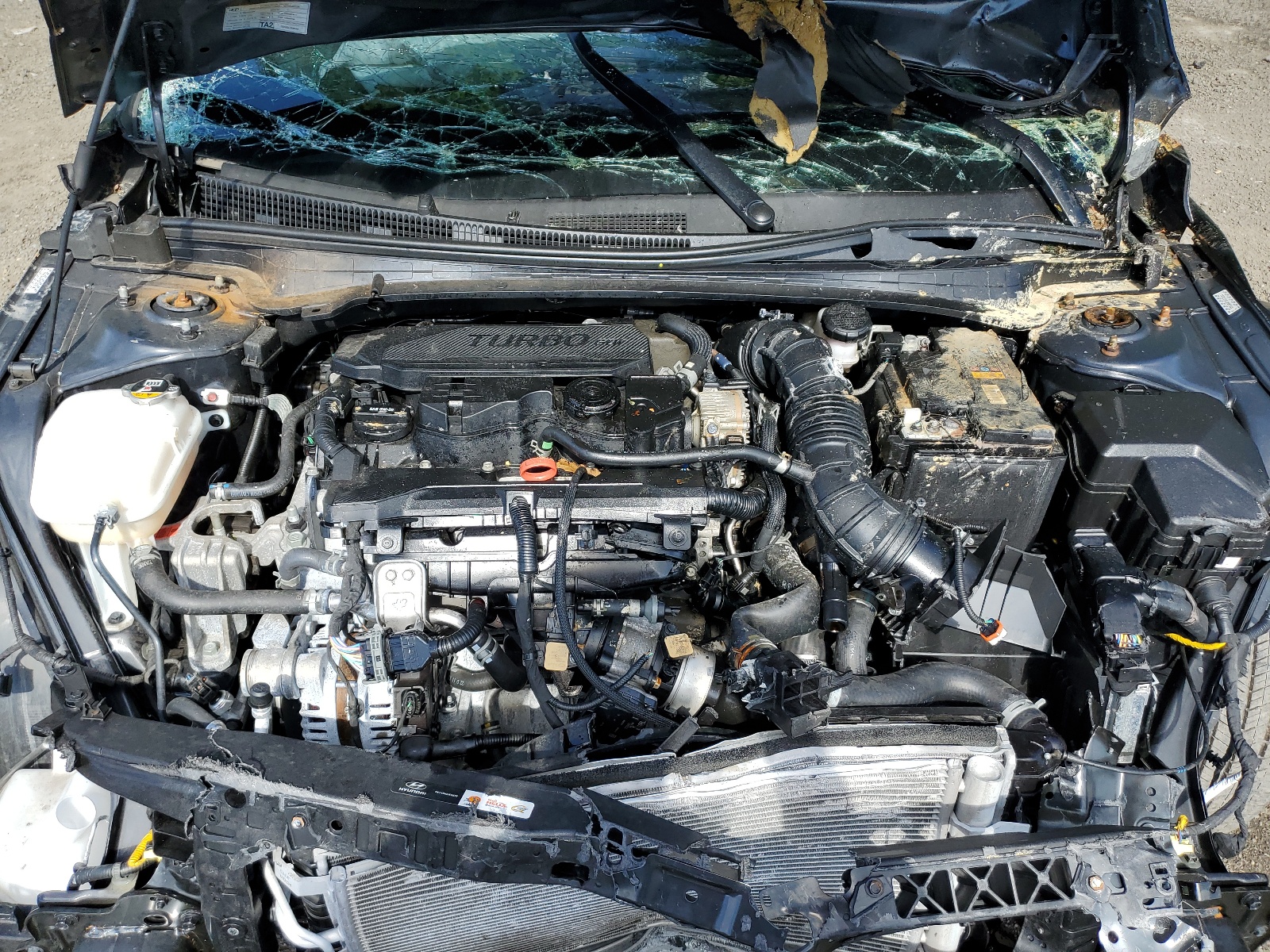 KMHLR4AF3PU378101 2023 Hyundai Elantra N Line