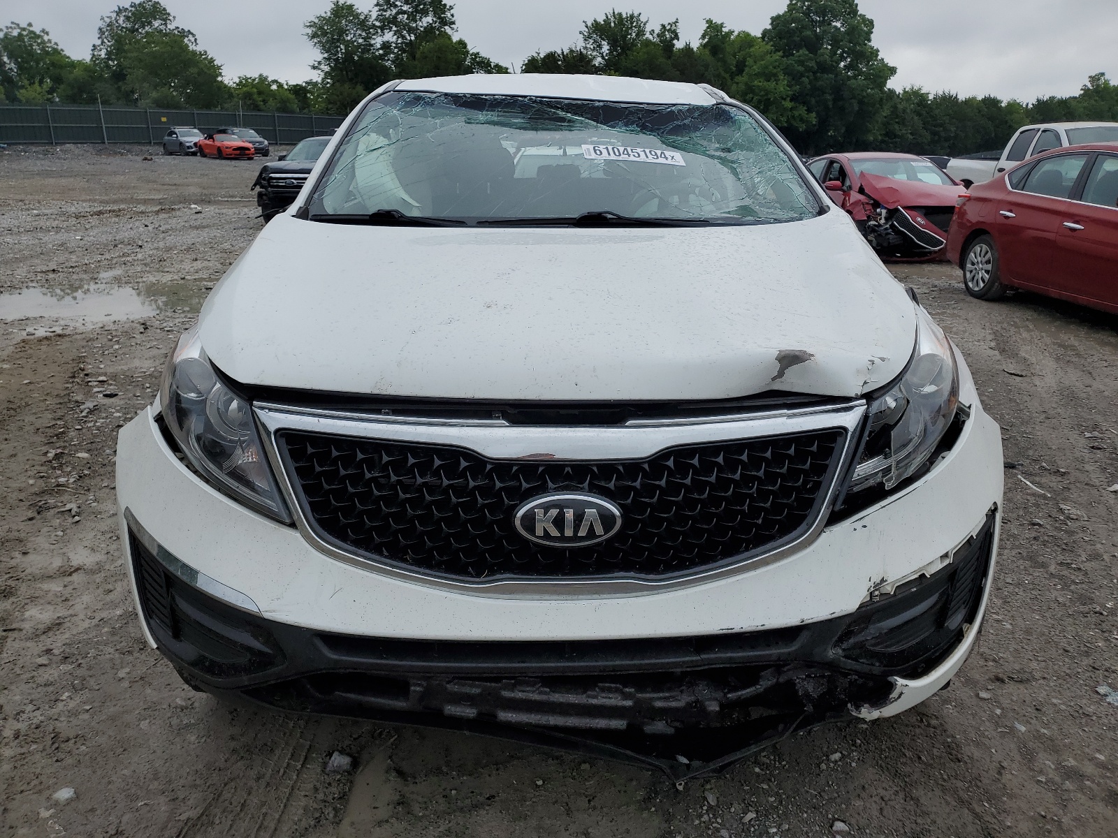 2014 Kia Sportage Base vin: KNDPB3AC9E7567809