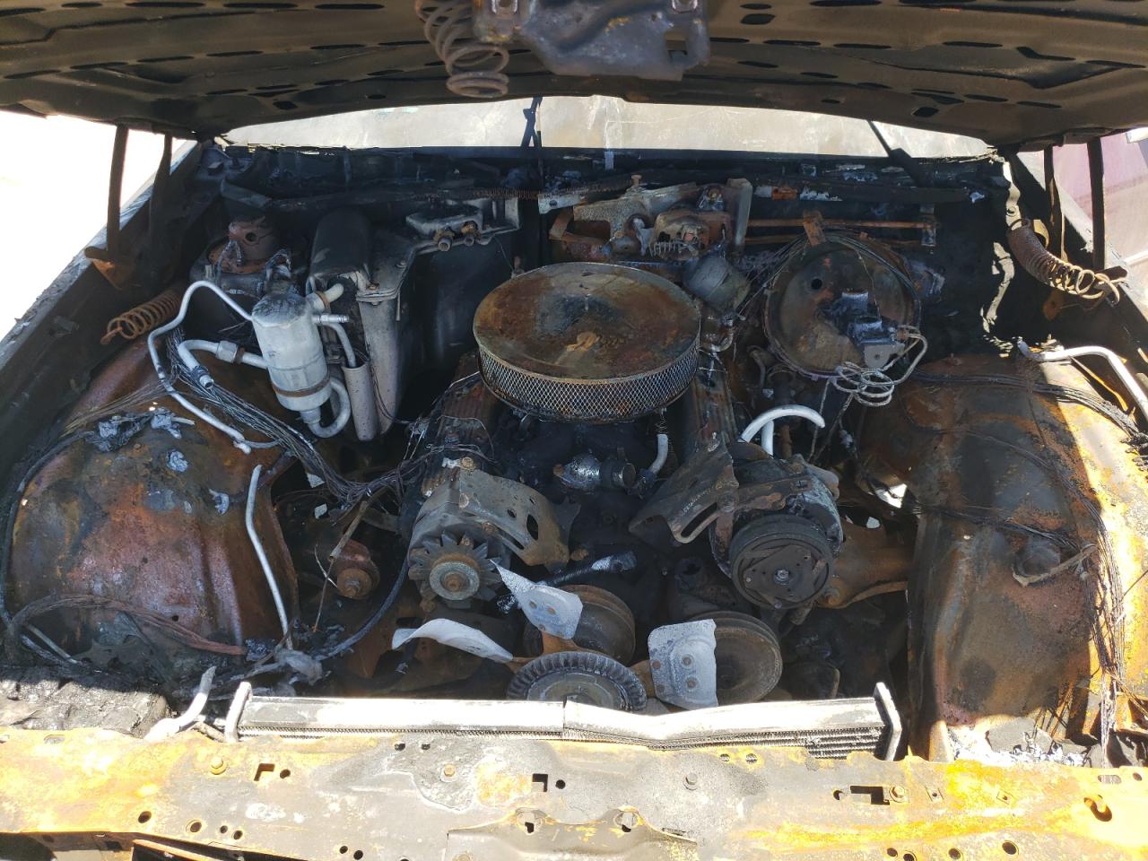 1981 Chevrolet Caprice Classic VIN: 1G1AN47H1BJ231844 Lot: 58289914