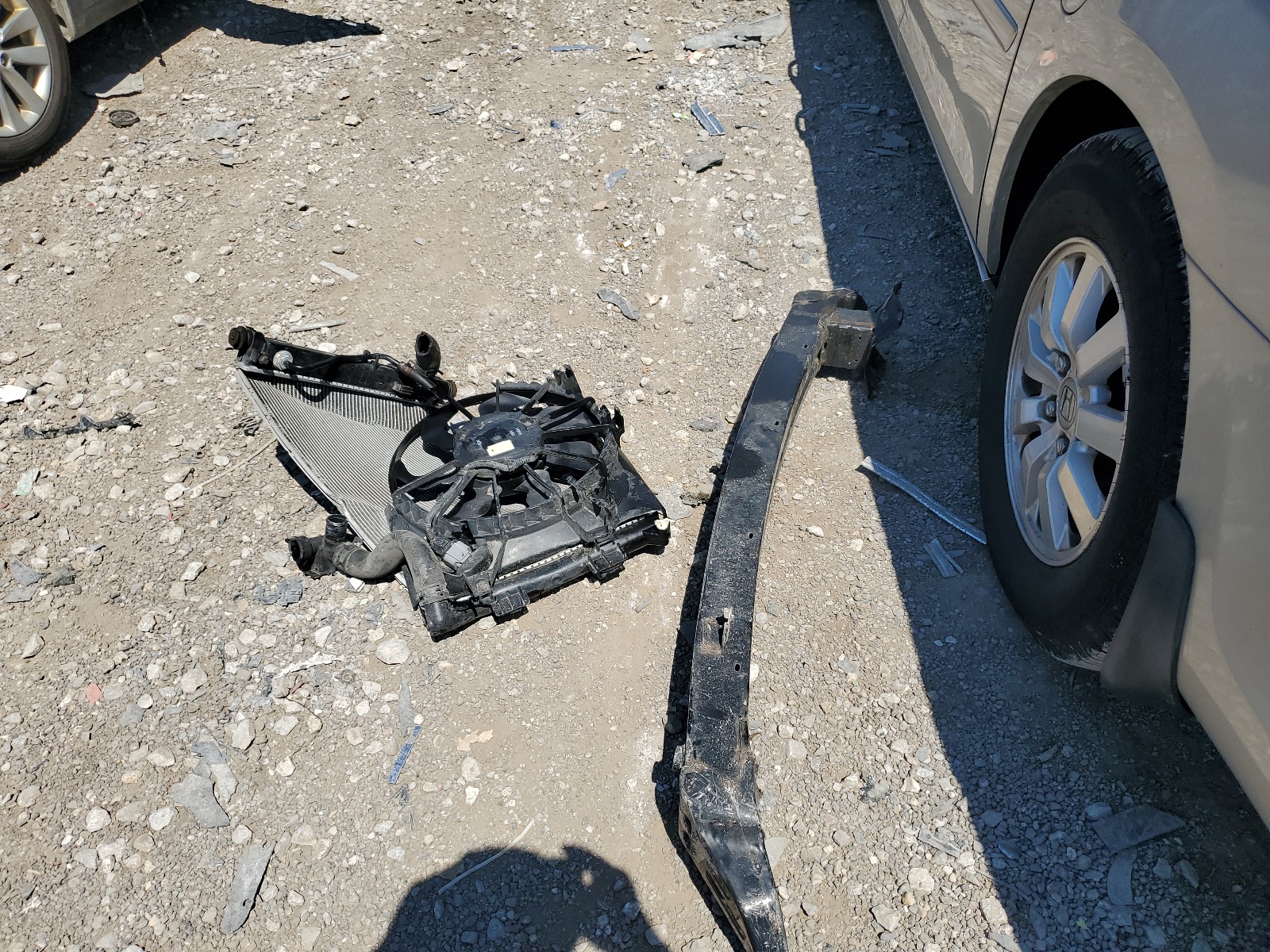 KNAFX4A84E5115340 2014 Kia Forte Ex