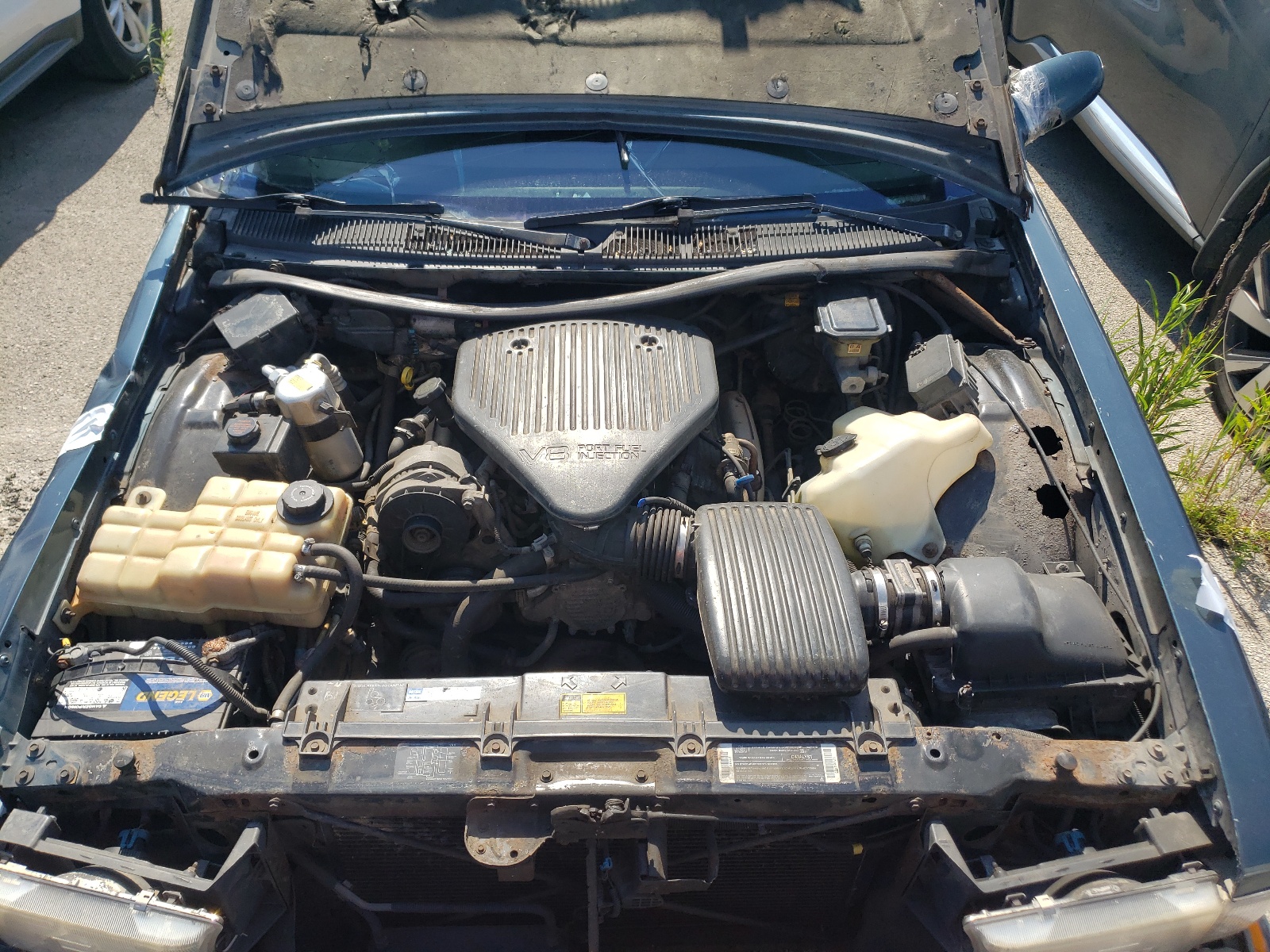 1G4BN52P3SR402316 1995 Buick Roadmaster