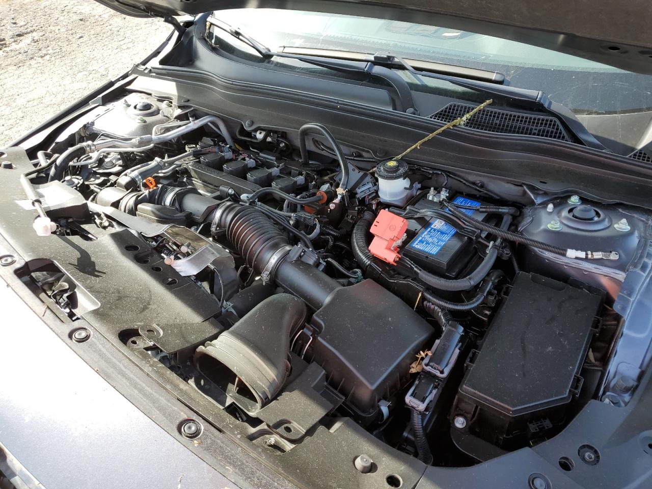 2021 Honda Accord Exl VIN: 1HGCV1F59MA044023 Lot: 59114644