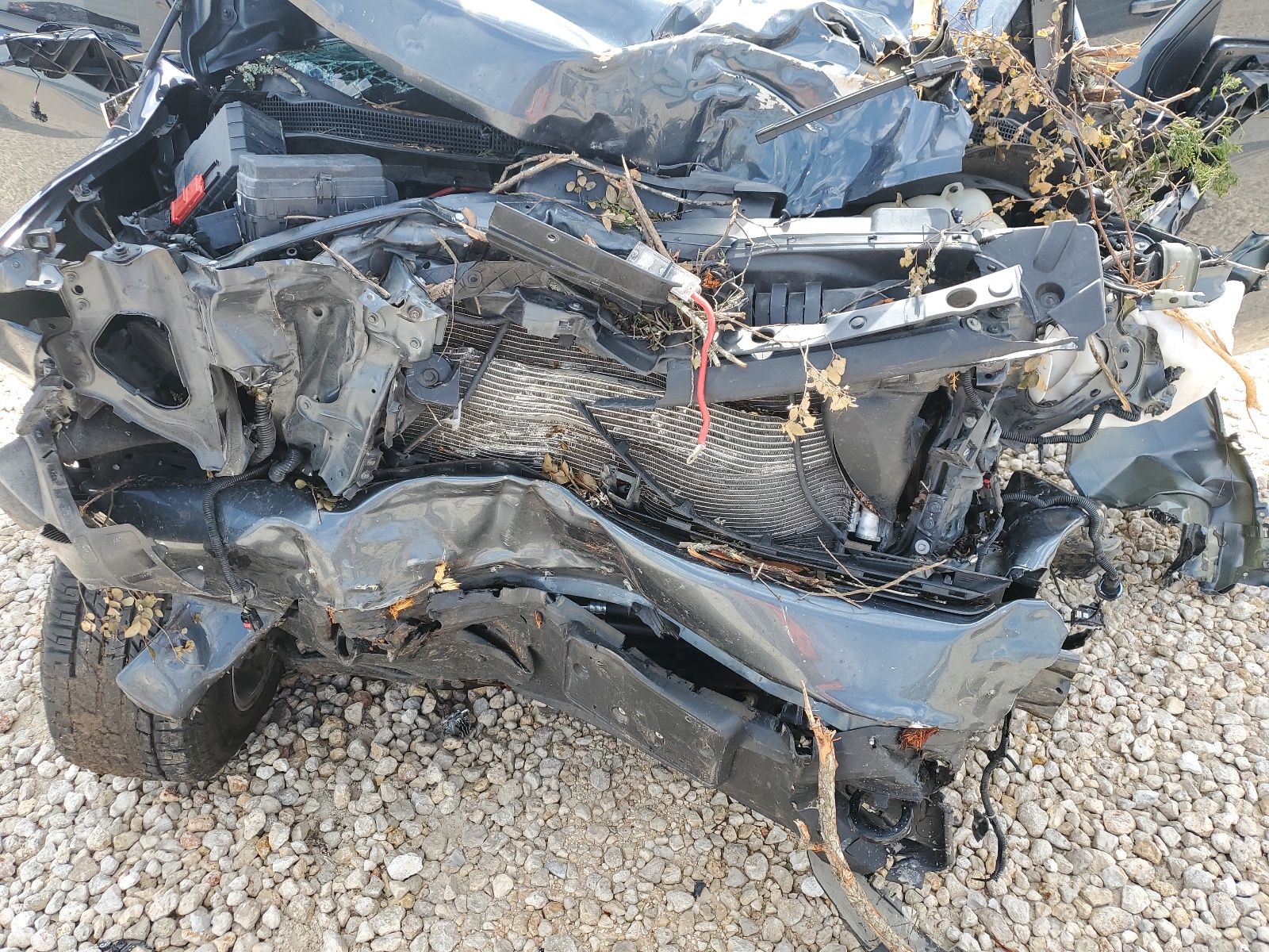 3GCUYEED4MG110652 2021 Chevrolet Silverado K1500 Rst