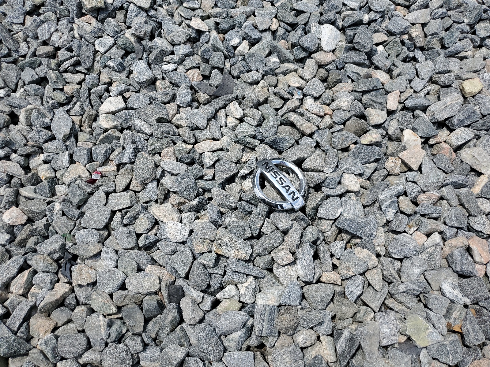 5N1AR18U65C719794 2005 Nissan Pathfinder Le