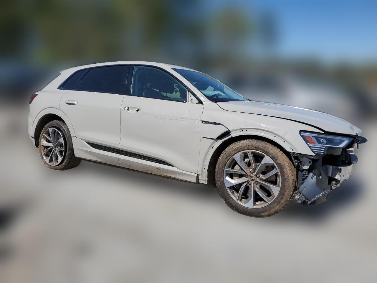 2021 Audi E-Tron Premium Plus VIN: WA1LABGE9MB027032 Lot: 48674314