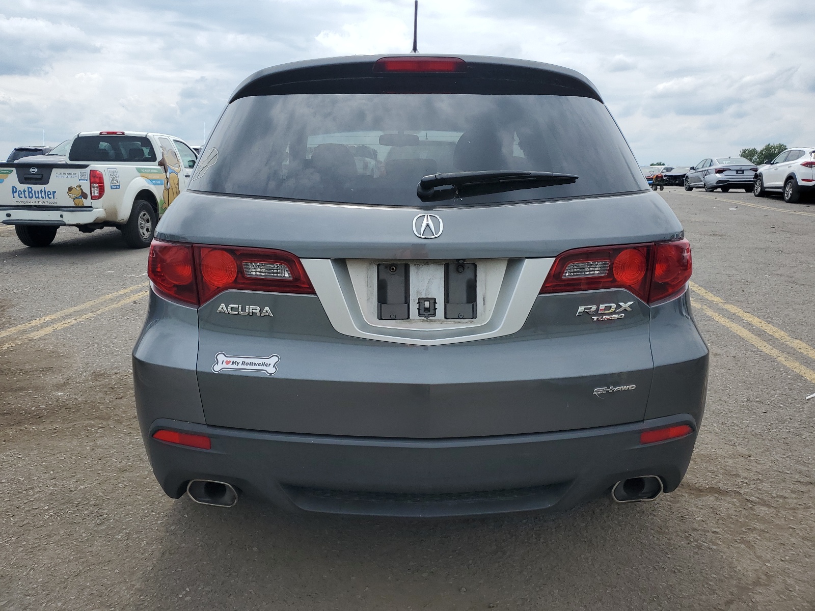 5J8TB1H59AA006373 2010 Acura Rdx Technology