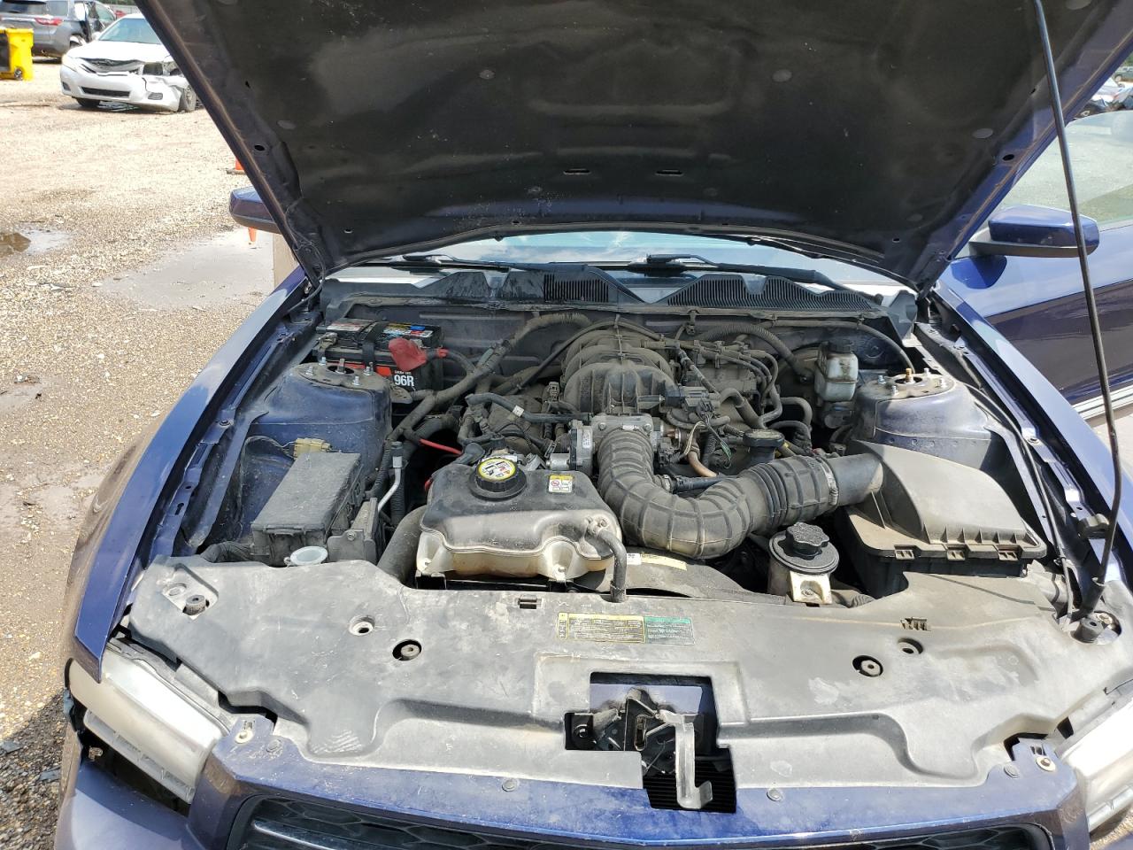 2010 Ford Mustang VIN: 1ZVBP8AN0A5126051 Lot: 57253344