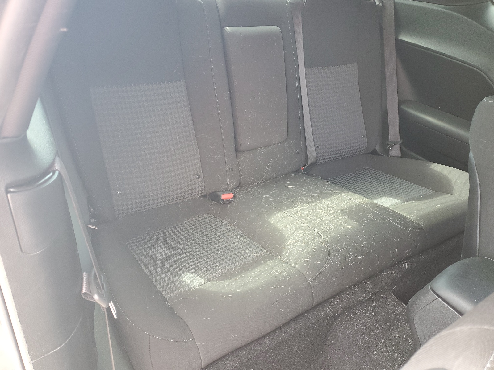 2C3CDZBT5NH195937 2022 Dodge Challenger R/T