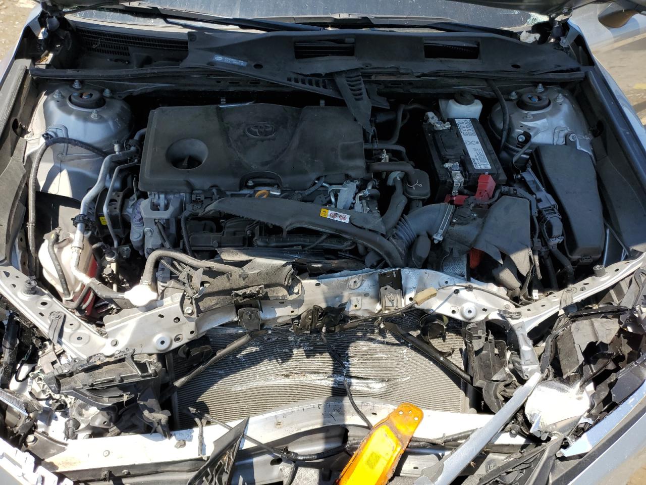 4T1B11HK4KU734326 2019 Toyota Camry L