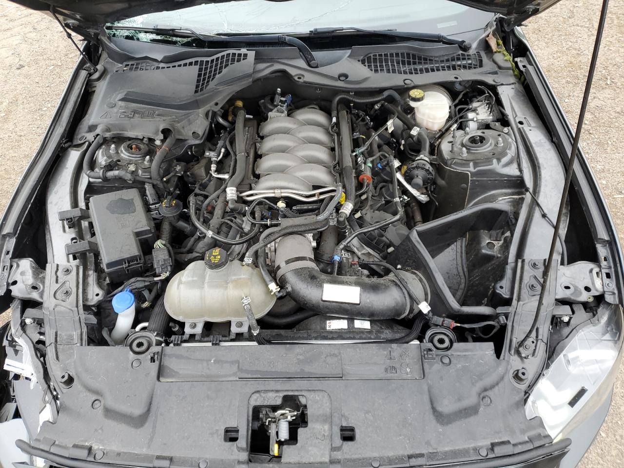 2019 Ford Mustang Gt VIN: 1FA6P8CF5K5200985 Lot: 57442964