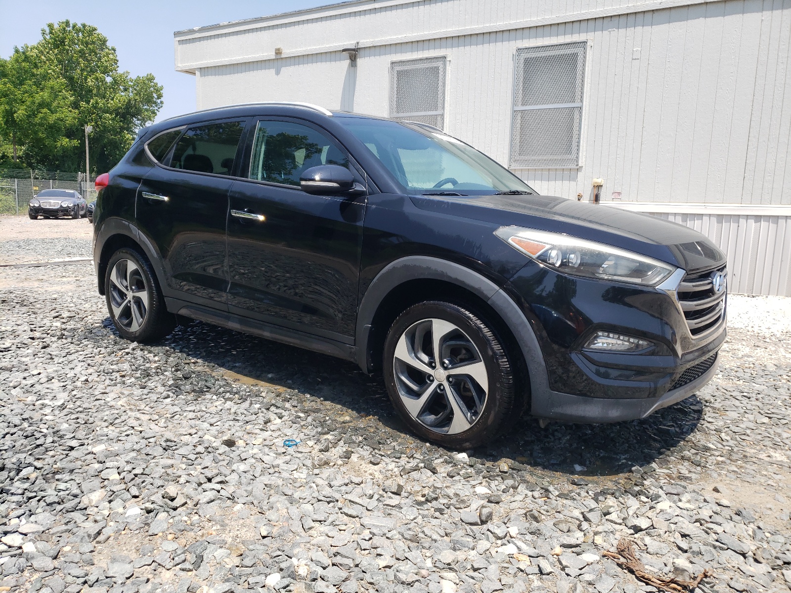 2016 Hyundai Tucson Limited vin: KM8J3CA21GU125570