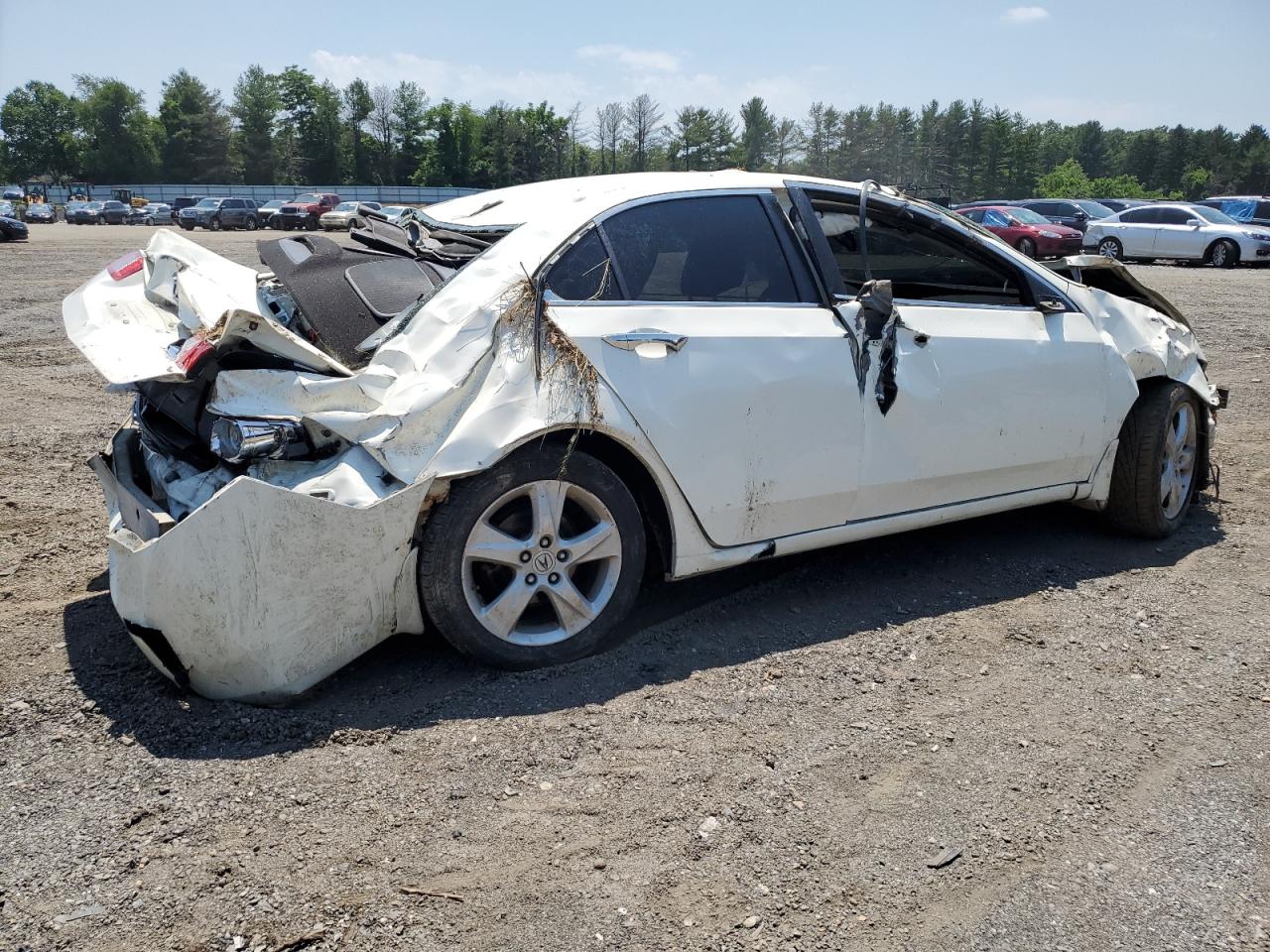 2010 Acura Tsx VIN: JH4CU2F68AC033352 Lot: 59211894