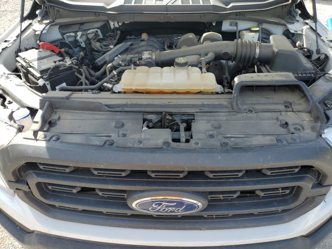2022 Ford F150 VIN: 1FTMF1CB9NKD99036 Lot: 60031194