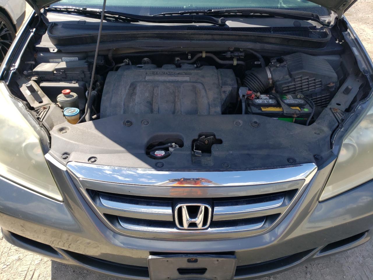 2007 Honda Odyssey Exl VIN: 5FNRL38717B411727 Lot: 60843244