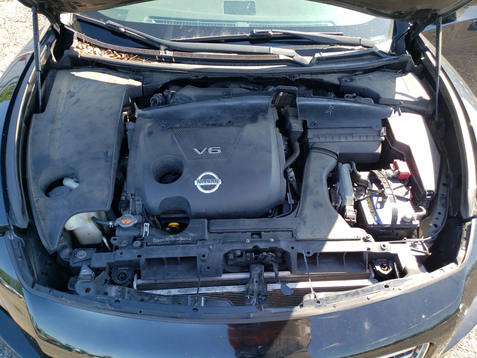 1N4AA5AP6AC846228 2010 Nissan Maxima S