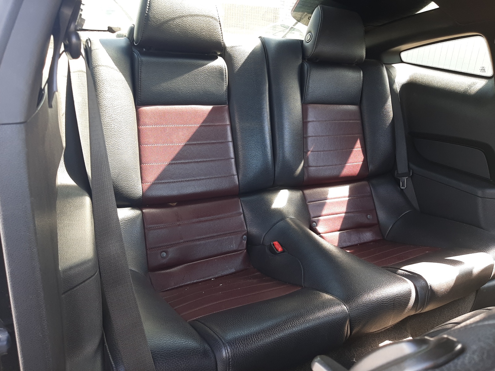 1ZVBP8AM3C5260787 2012 Ford Mustang