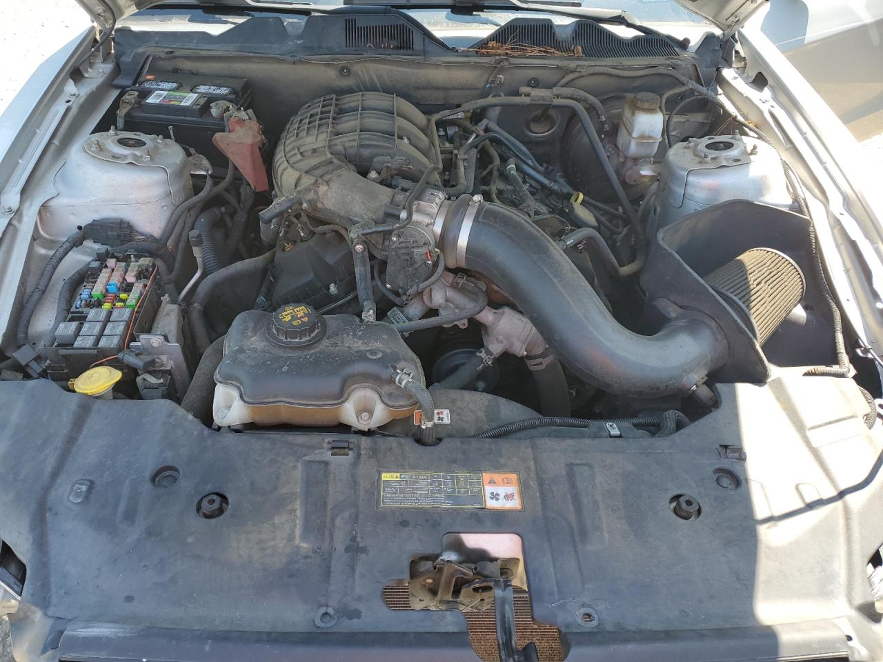 2013 Ford Mustang VIN: 1ZVBP8AMXD5245351 Lot: 58396254