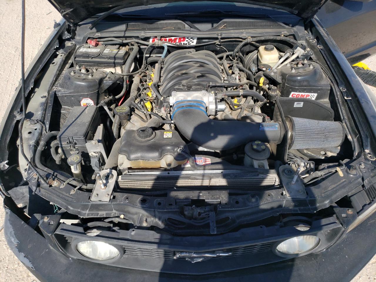 2006 Ford Mustang Gt VIN: 1ZVHT85H665173649 Lot: 59913234