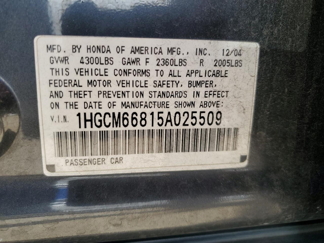 2005 Honda Accord Ex VIN: 1HGCM66815A025509 Lot: 61091984