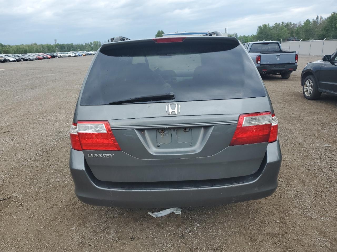 2007 Honda Odyssey Ex VIN: 5FNRL38437B501290 Lot: 59231894