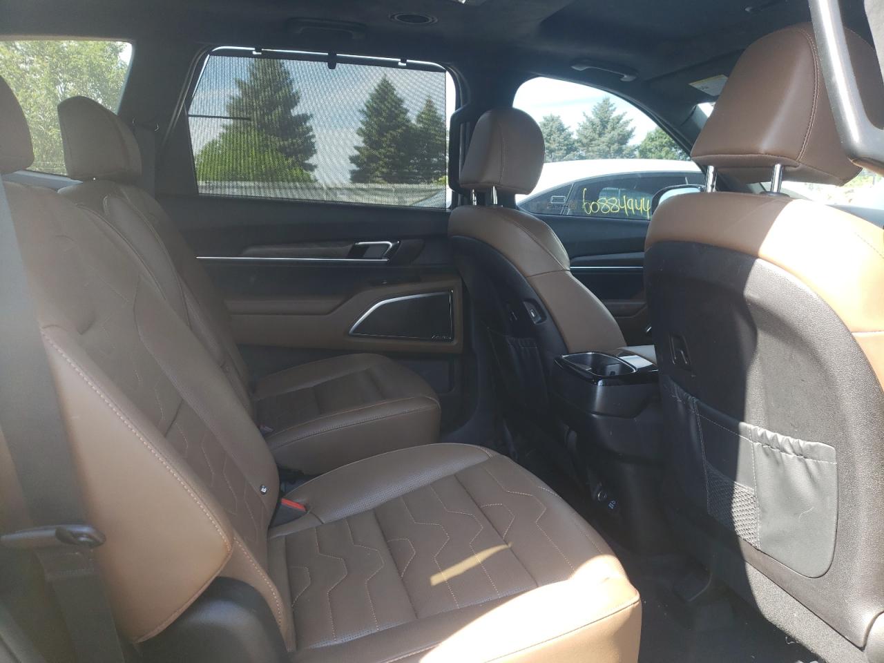 2022 Kia Telluride Sx VIN: 5XYP5DHC7NG323243 Lot: 60482914