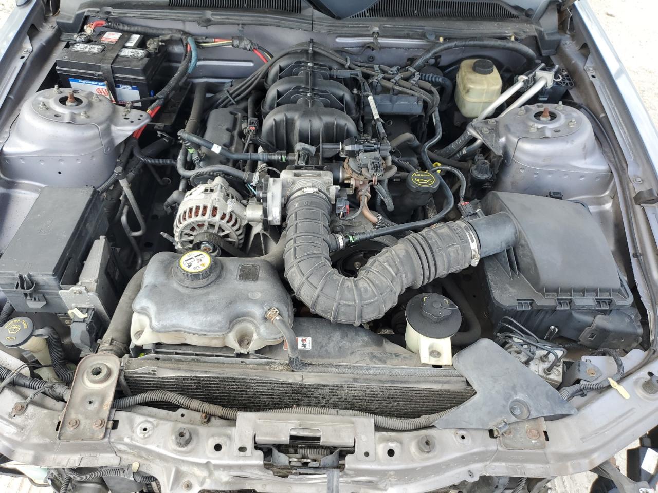 2006 Ford Mustang VIN: 1ZVHT80N365191538 Lot: 59522954