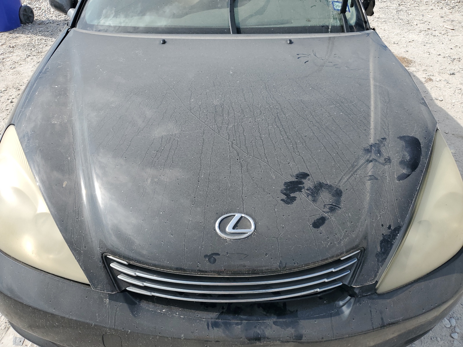 JTHBA30G440012614 2004 Lexus Es 330