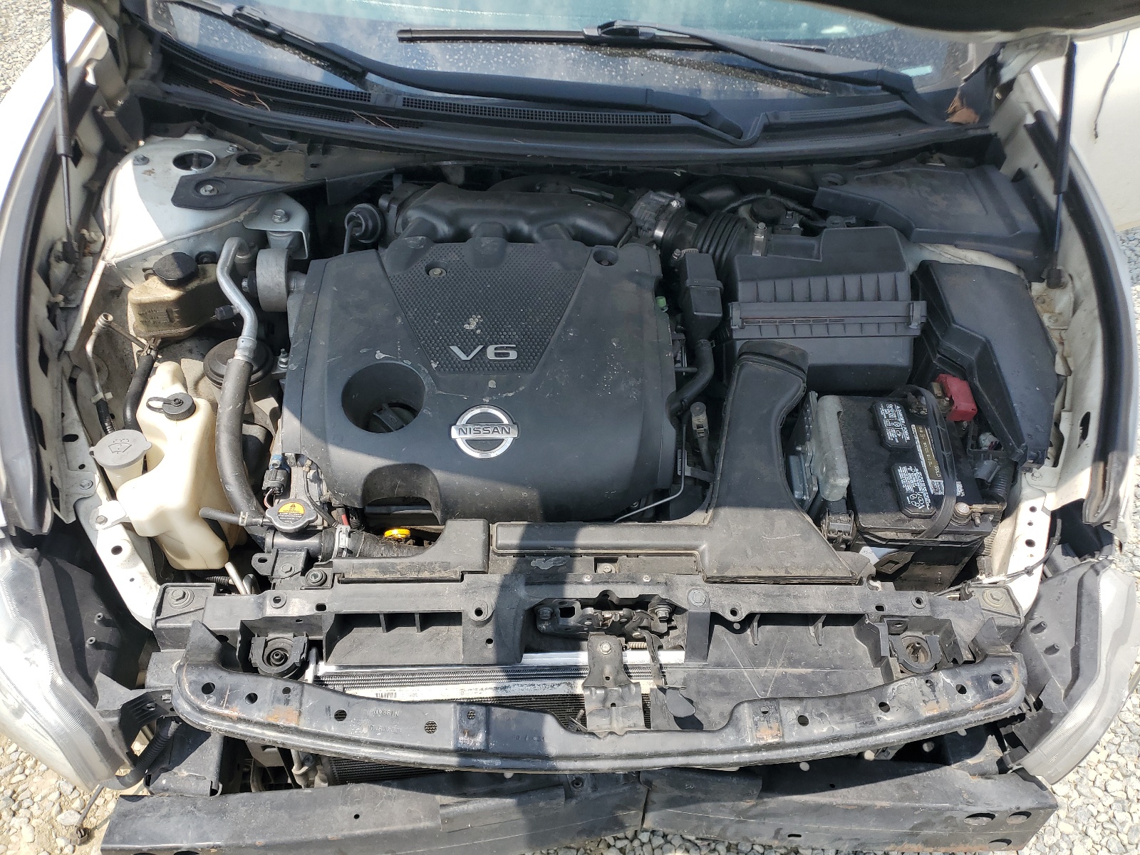 1N4AA5AP2AC853404 2010 Nissan Maxima S