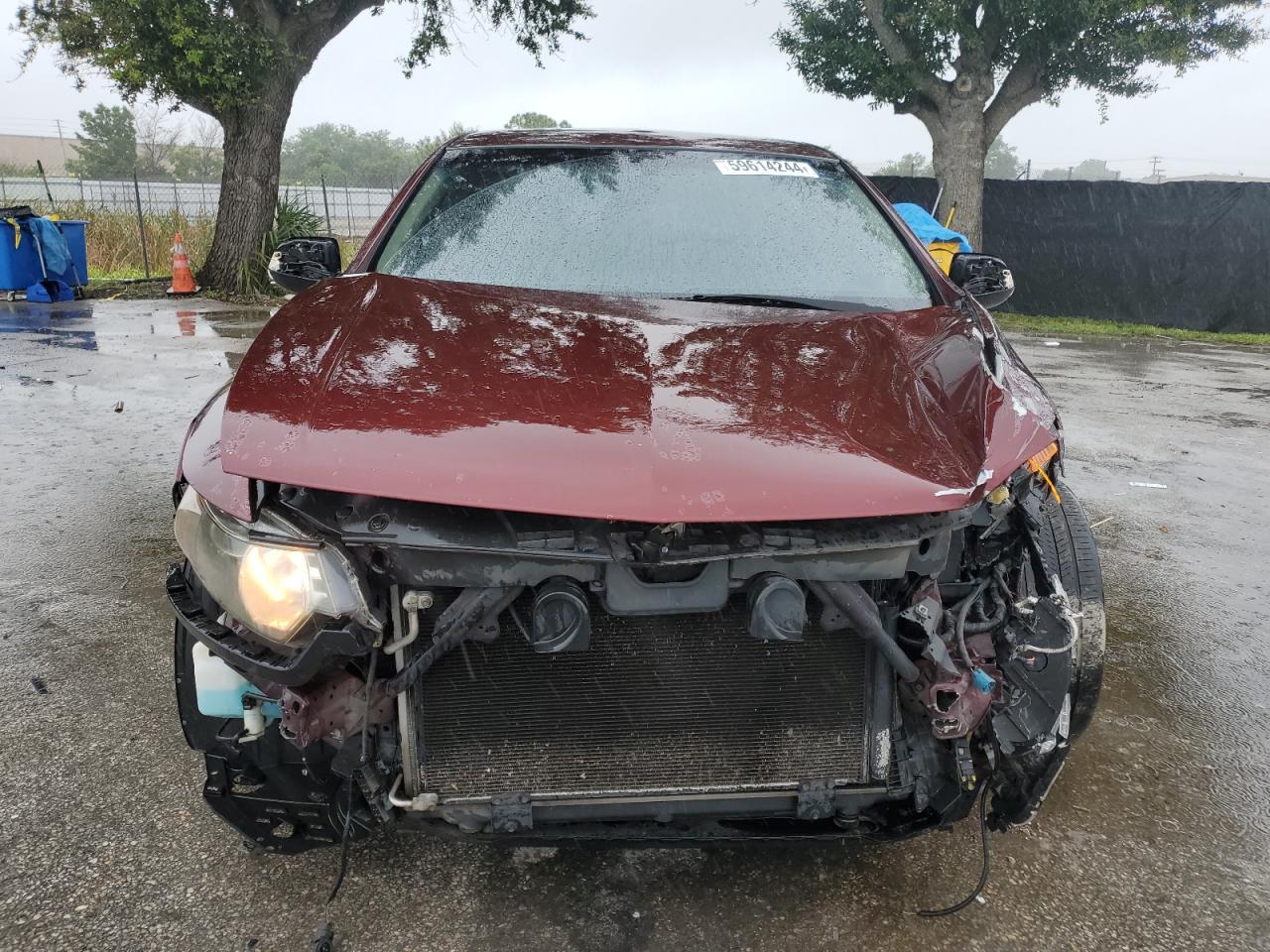 2009 Acura Tsx VIN: JH4CU26619C028294 Lot: 59614244