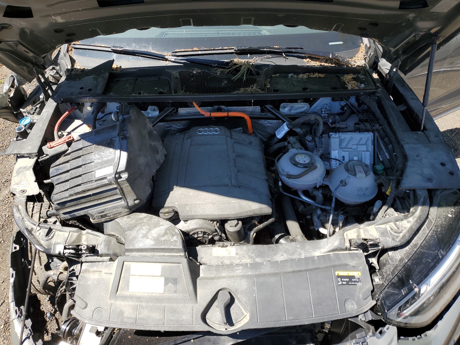 WA1E2AFY5P2089835 2023 Audi Q5 E Premium Plus 55