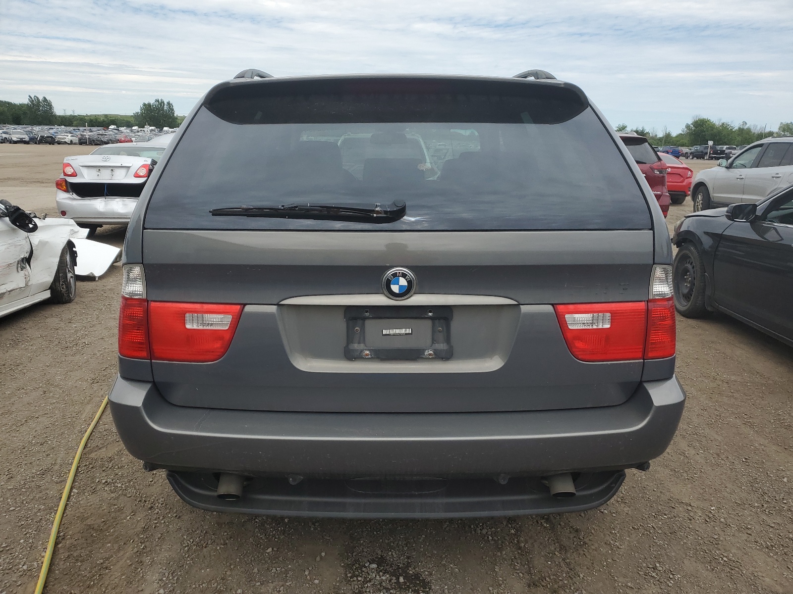 5UXFA13516LY36460 2006 BMW X5 3.0I