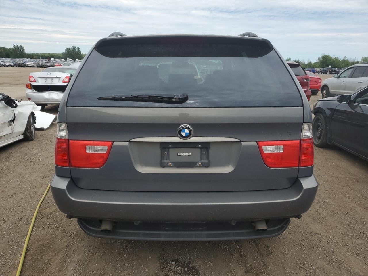 2006 BMW X5 3.0I VIN: 5UXFA13516LY36460 Lot: 60132494