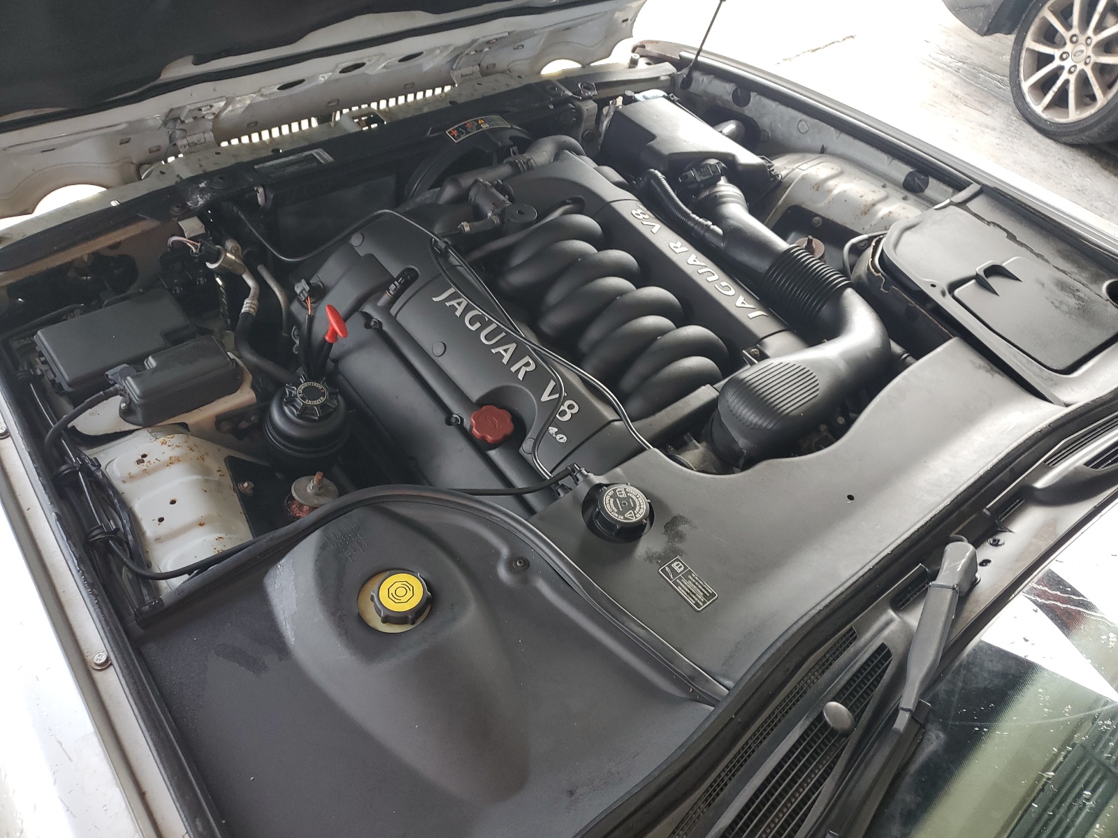 SAJDA24C9YLF10831 2000 Jaguar Vandenplas