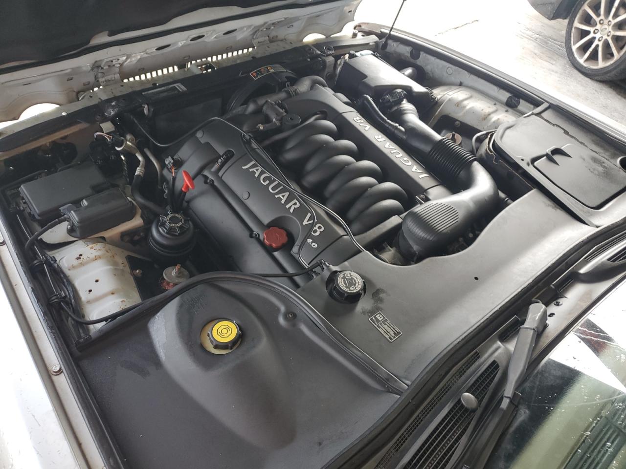 2000 Jaguar Vandenplas VIN: SAJDA24C9YLF10831 Lot: 58247574