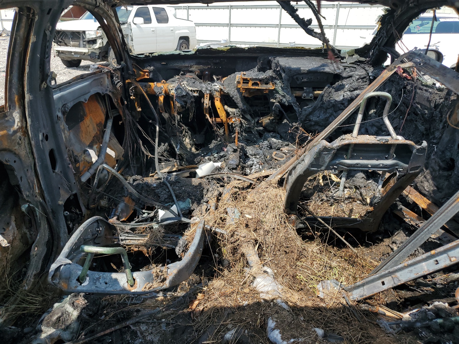 5XXG64J23RG256858 2024 Kia K5 Gt Line