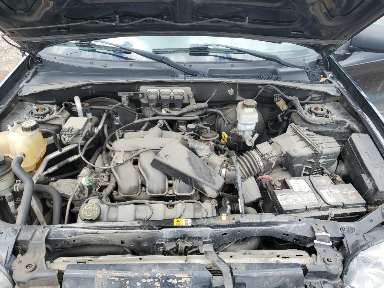 2005 Ford Escape Limited VIN: 1FMCU94165KD97469 Lot: 59665514