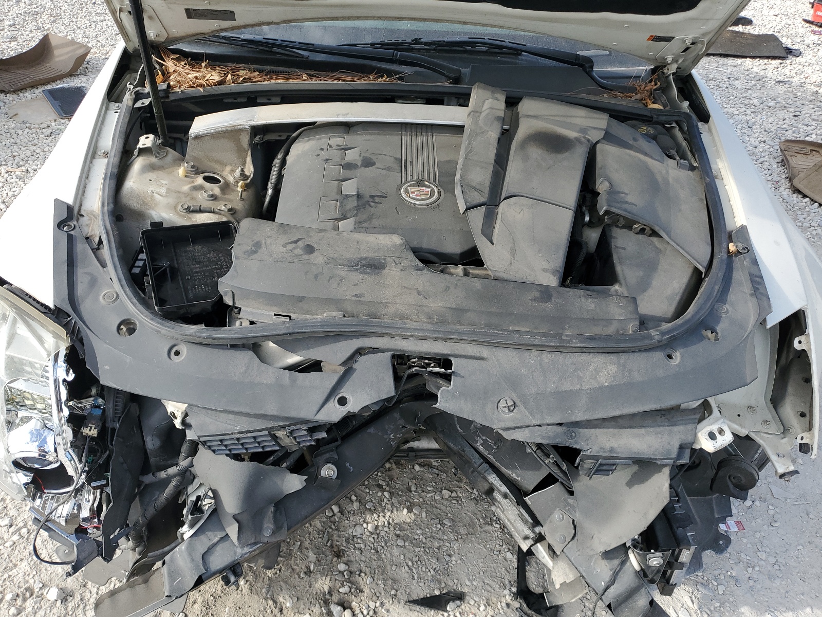 1G6DP5E37D0149625 2013 Cadillac Cts Premium Collection