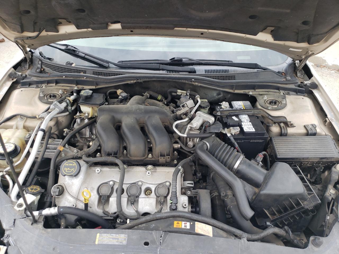 2006 Ford Fusion Sel VIN: 3FAHP08116R141878 Lot: 58991814