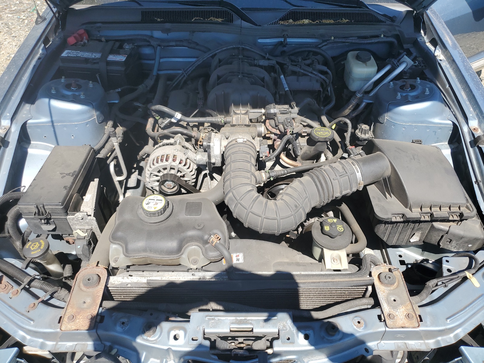 1ZVFT80N375263203 2007 Ford Mustang