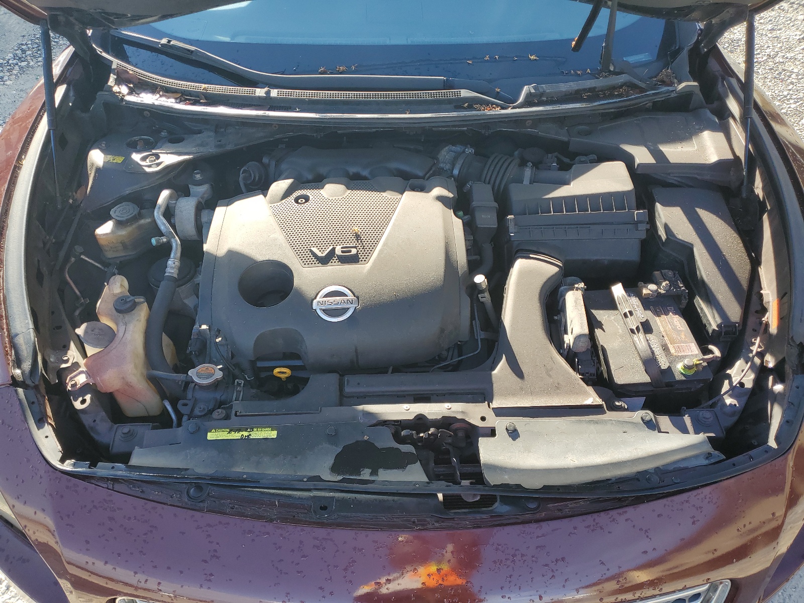 1N4AA51E59C828507 2009 Nissan Maxima S