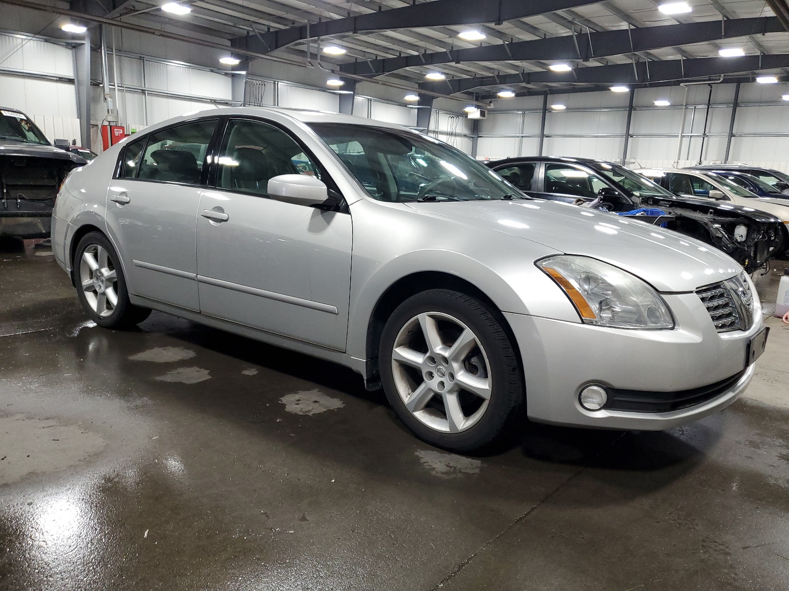 1N4BA41E34C859696 2004 Nissan Maxima Se