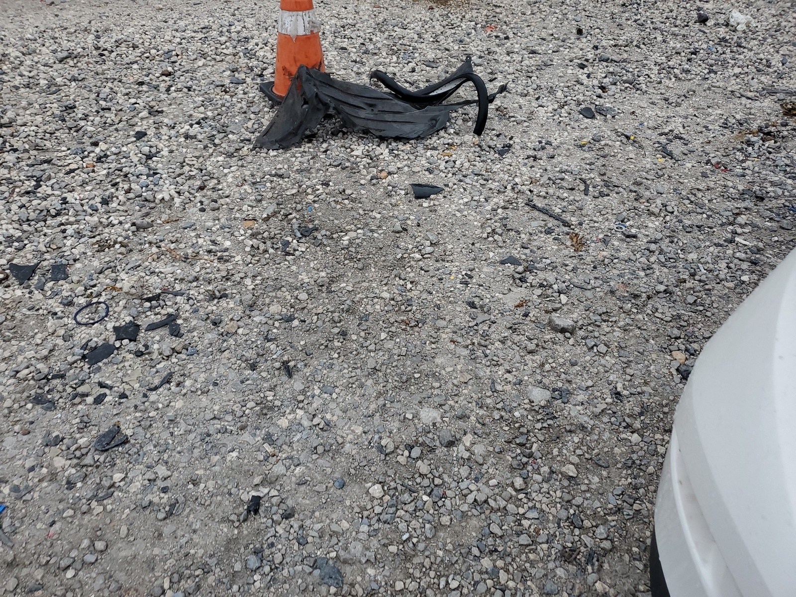 JM1BM1T74E1135673 2014 Mazda 3 Sv