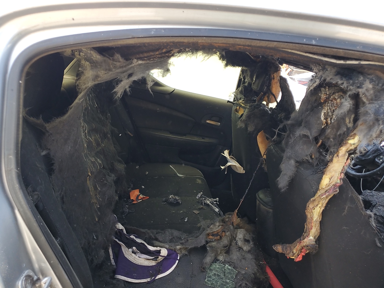 1C3CDZABXEN125785 2014 Dodge Avenger Se