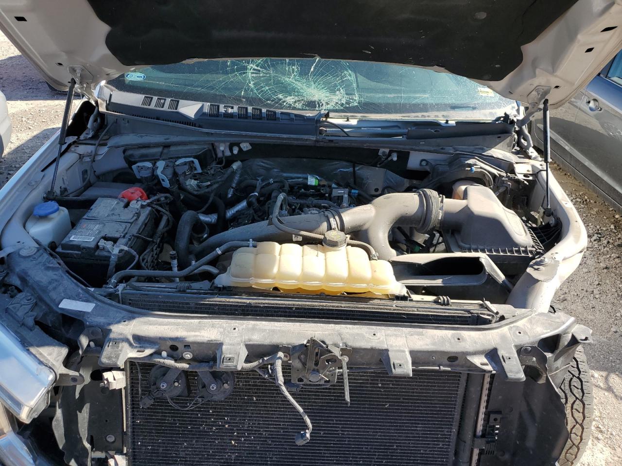1FTEW1EP1KKE35231 2019 Ford F150 Supercrew