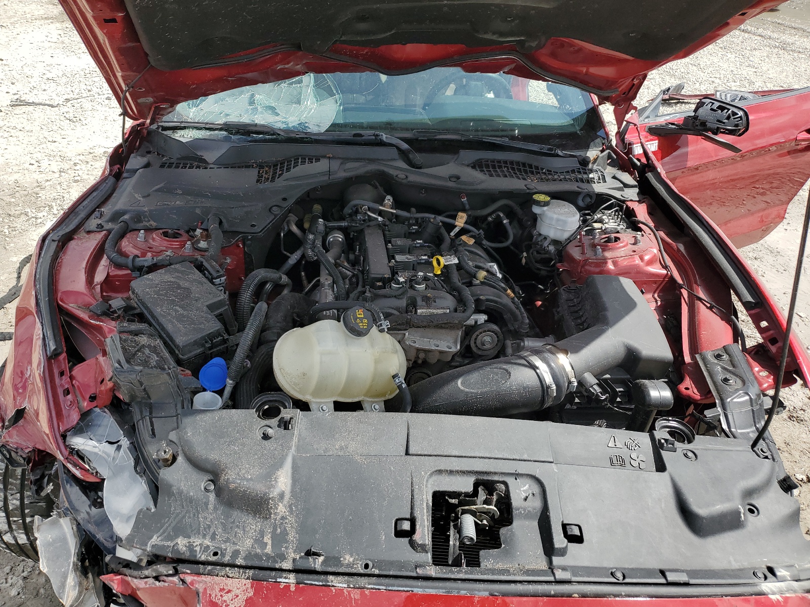 1FA6P8TH2N5133624 2022 Ford Mustang