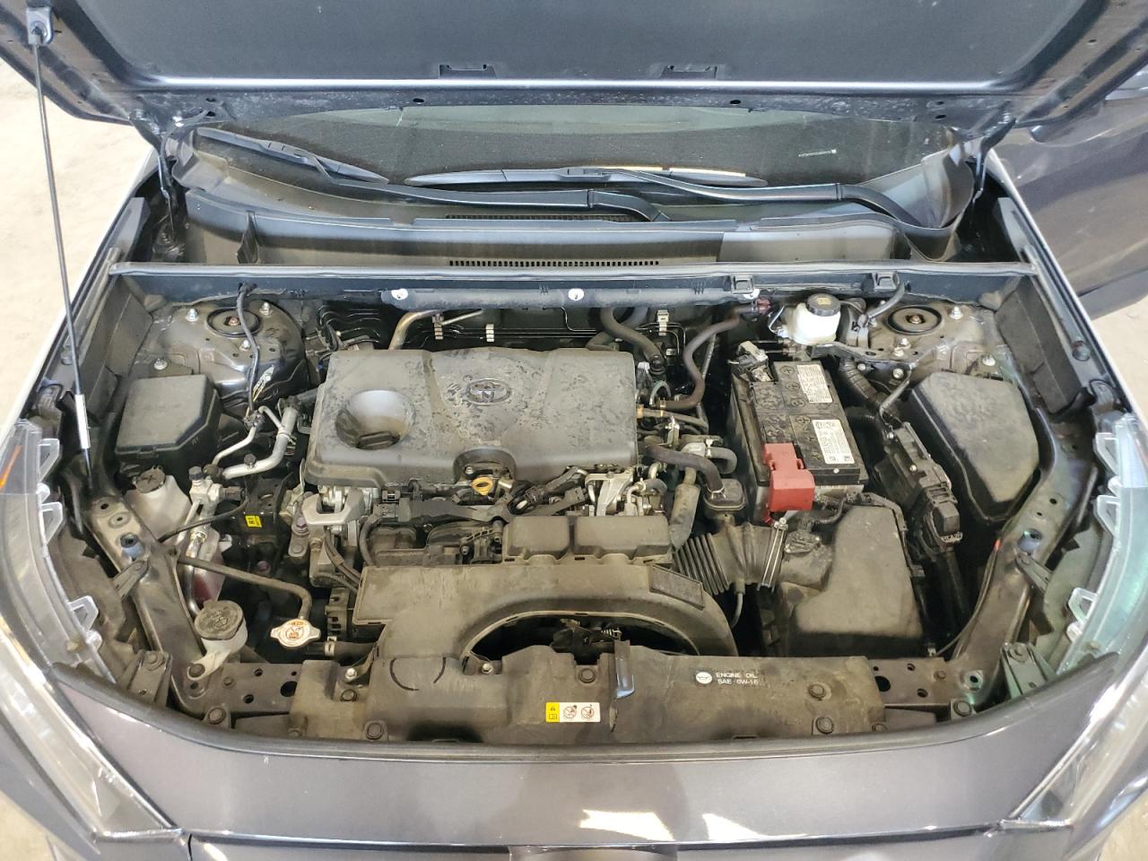 2020 Toyota Rav4 Xle VIN: 2T3W1RFV3LW099704 Lot: 61142534