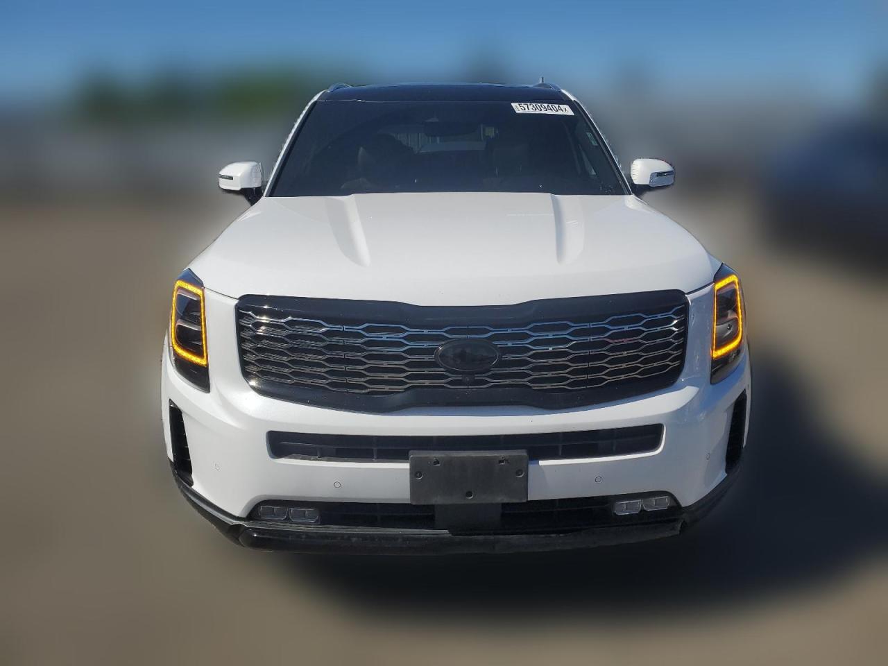 2021 Kia Telluride Sx VIN: 5XYP54HC3MG137911 Lot: 57309404