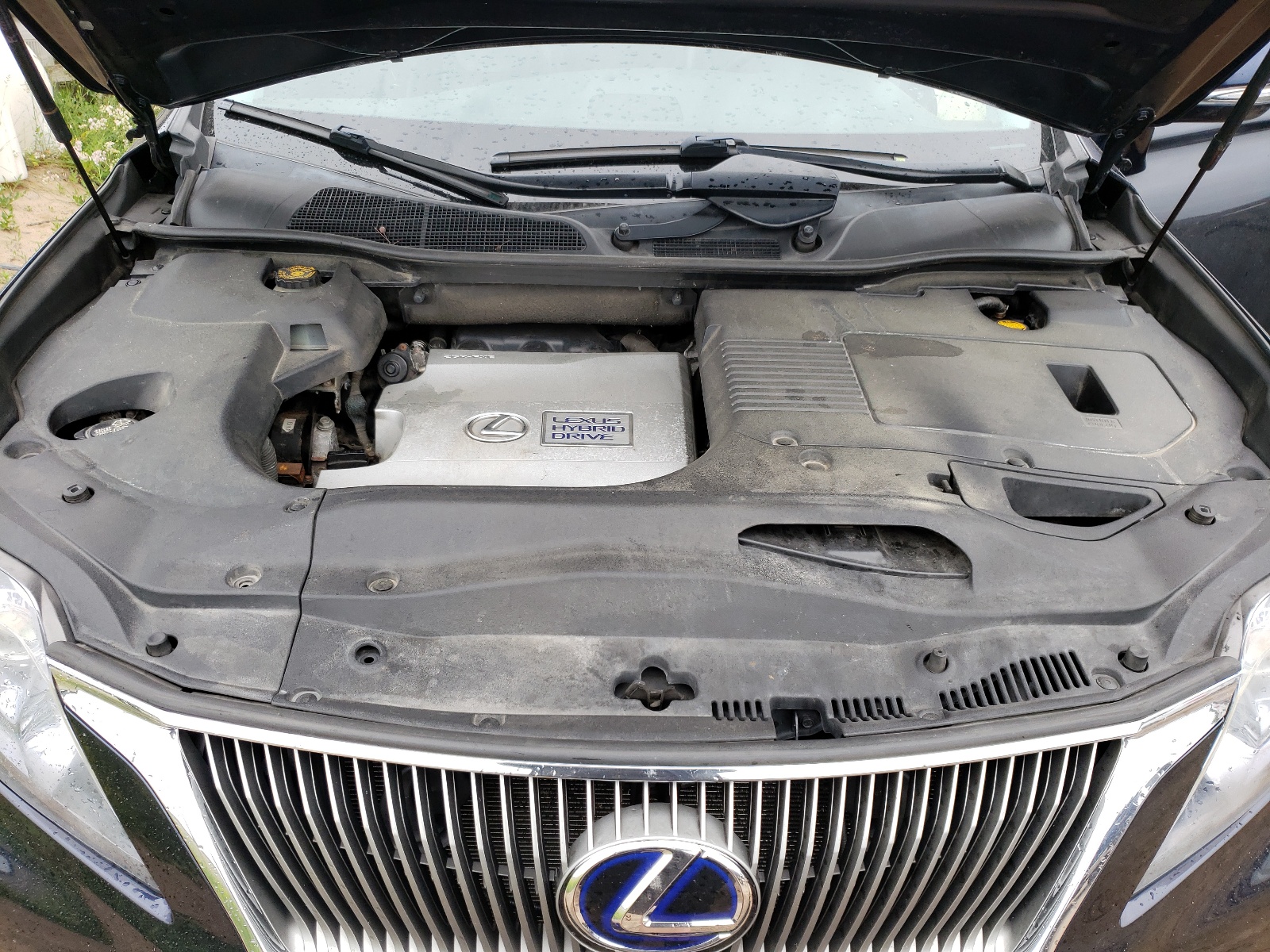 JTJBC1BA8A2404808 2010 Lexus Rx 450